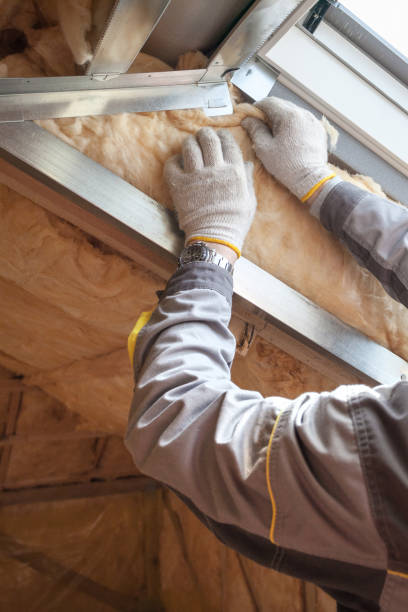Best Insulation Installation Services in Anna, OH