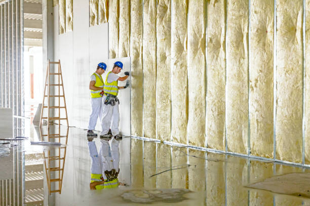 Best Residential Insulation in Anna, OH